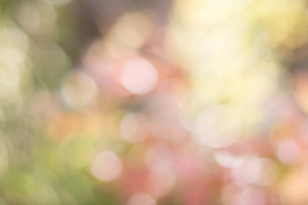 istock Blurred green nature with bokeh background. 1465195269
