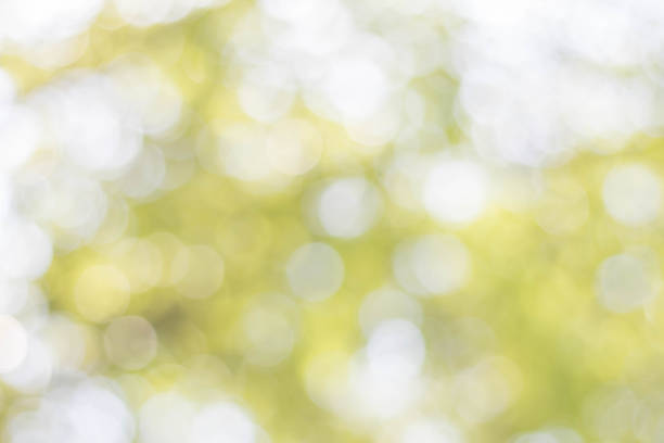 istock Blurred green nature with bokeh background. 1465195285