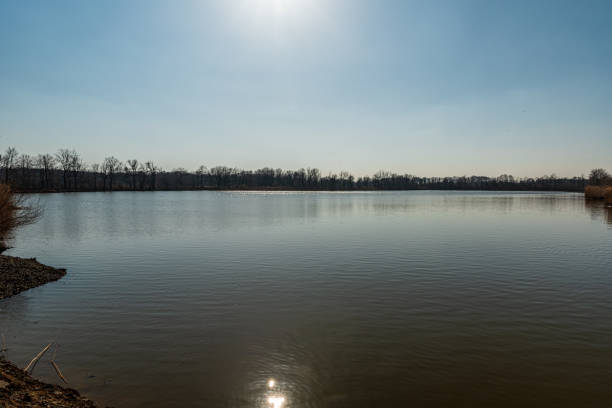 istock Pond with sunlights mirroring on waterground and forest on the background during beatiful day with clear sky 1465204415