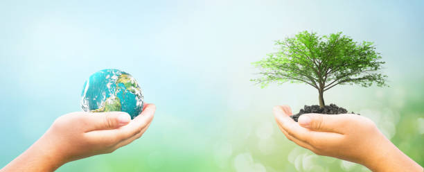 istock ESG concept:tree planting growing green earth on volunteers hands and isolate green light background. Elements of this image furnished by NASA 1465205436