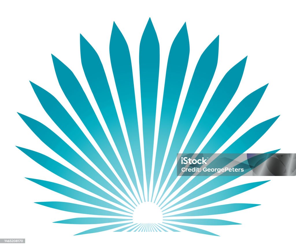 Blue Agave Plant Stock Illustration - Download Image Now - Vector