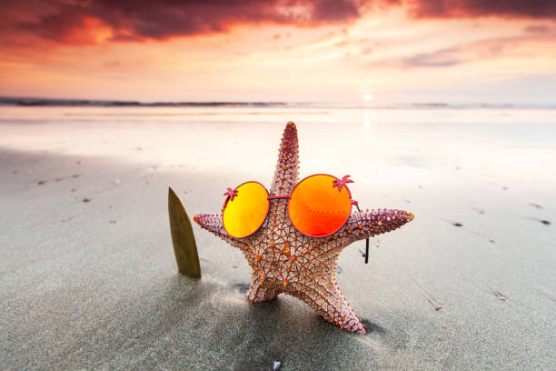 istock Starfish surfer on the beach 1465216983
