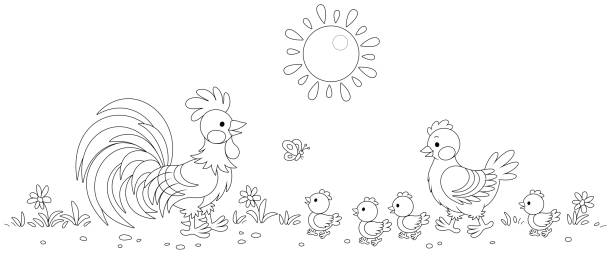 illustrazioni stock, clip art, cartoni animati e icone di tendenza di allegra famiglia di pollo su una passeggiata in una soleggiata giornata estiva - bird spring family cartoon