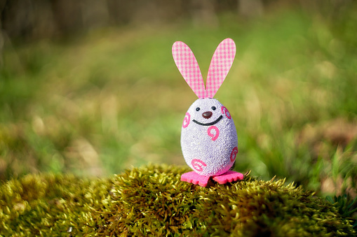 Easter funny bunny egg hidden in the forest. Easter hunt