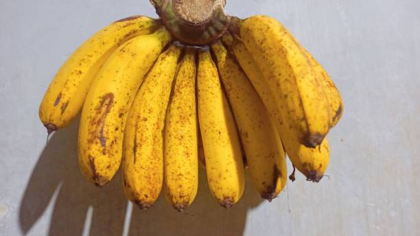 istock black spot banana 1465221252