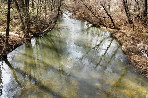 istock Quiet stream of water in the woods lined with bare trees during winter 1465223140