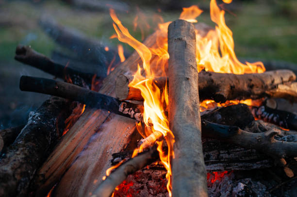 istock Selective focus shot of a bonfire 1465223231