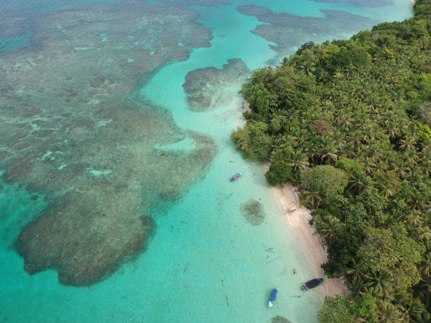 istock Beach from above in Panama 1465223293