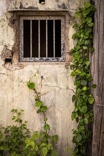 A window with bars in a derelict and ruined world war 2 gun emplacement on the Australian East coast