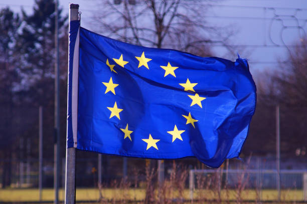 istock A winter mute unfolds the European flag 1465225456