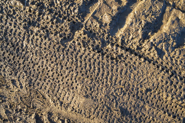 bike tracks in the mud - dirt road textured dirt mud imagens e fotografias de stock