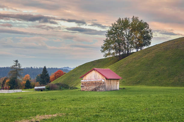 Barn with firewood in the Bavarian Alps in autumn, next to a hill and a tree, beautiful sky.