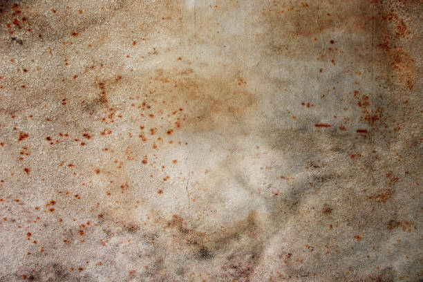 istock Grungy mottled parchment paper for a background 1465228530