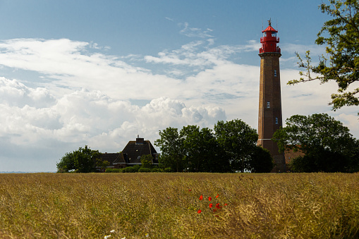 A shot of Krummsteert-Sulsdorfer Wiek Fehmarn Germany