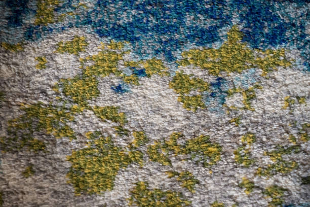 istock Closeup of lichen texture 1465230572
