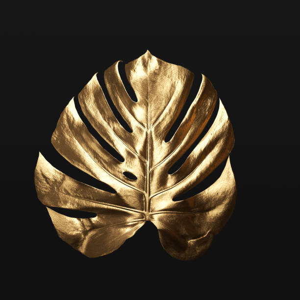 istock Golden texture tropical palm leaves Monstera on black, 3d rendering 1465232418