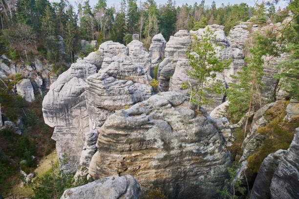 istock Sandstone rock formations in Prachovske skaly 1465233049