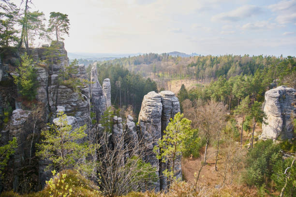 istock Sandstone rock formations in Prachovske skaly 1465233050
