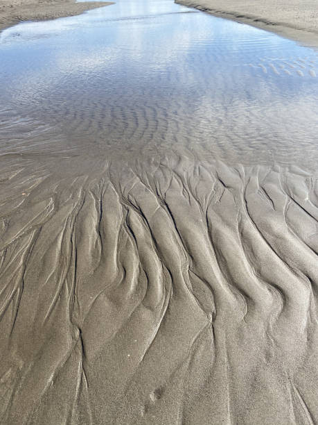 istock Closeup of beach sand texture 1465233916