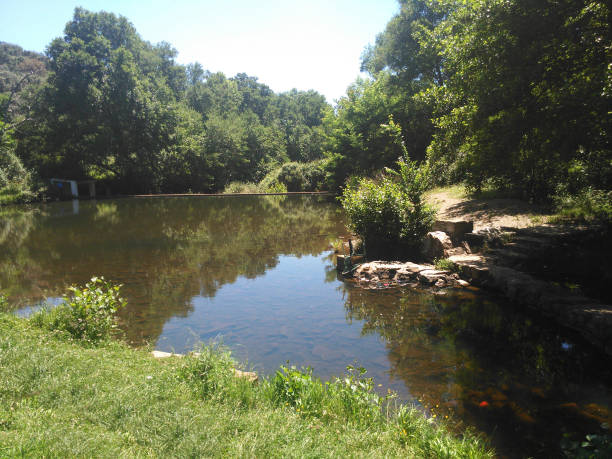 istock Calm river surrounded by landscapes in the forest 1465234408
