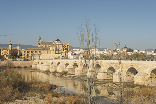 A landscape of The Roman bridge of Cordoba surrounded by buildings in Spain
