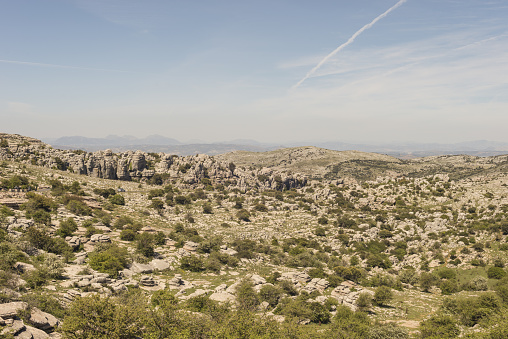A landscape in the provinc of Antequera, Malaga, Andalusia