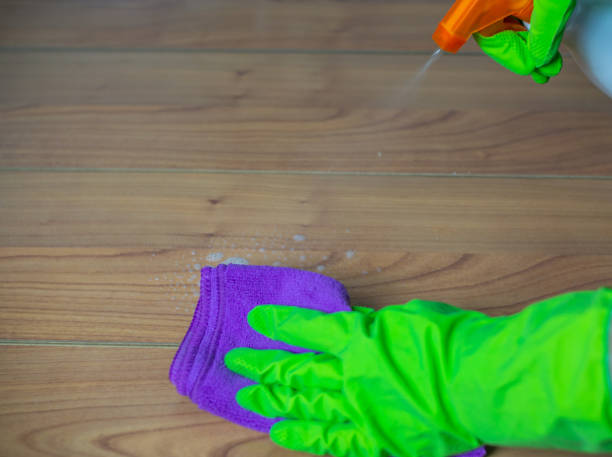 istock cleaning products used by a woman 1465237411