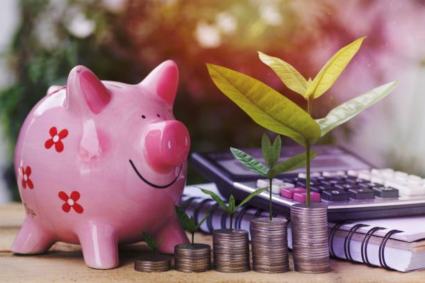 New tree growing up and stacked of money coins with pink piggy bank and calculator on table, concept as success and save in business stock photo