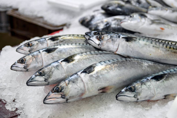 istock Closeup shot of sardines on ice 1465238033