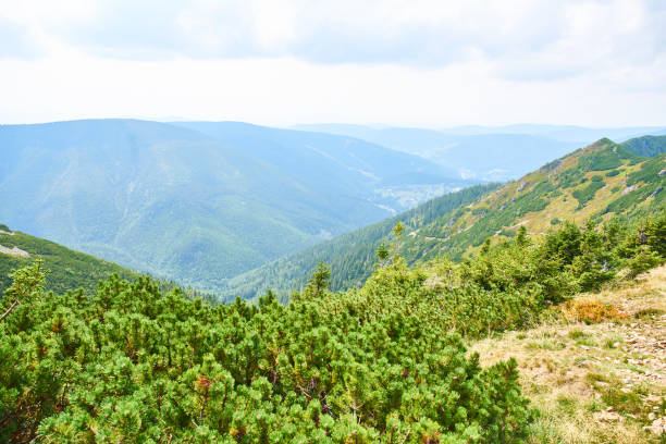 istock Hiking in Krkonose Mountains 1465238760