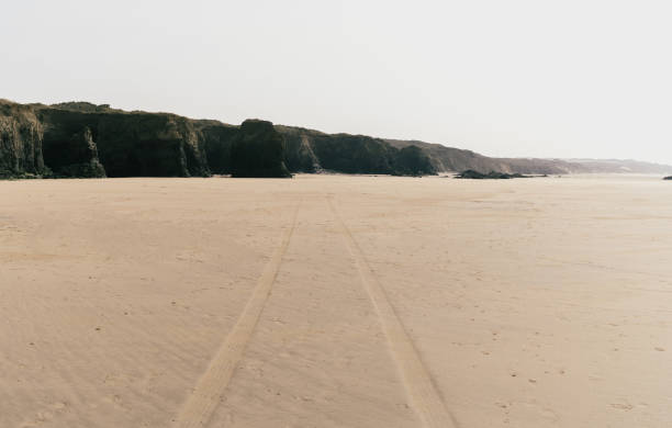 istock Shot of a wheel trails on sand at beach 1465243720