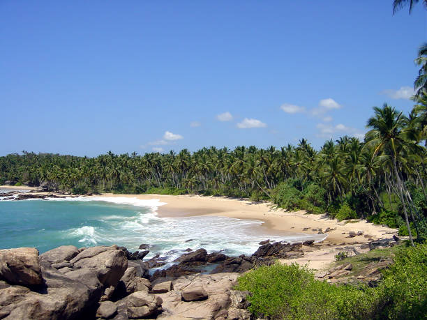 istock Unawatuna Beach Sri Lanka 1465244426