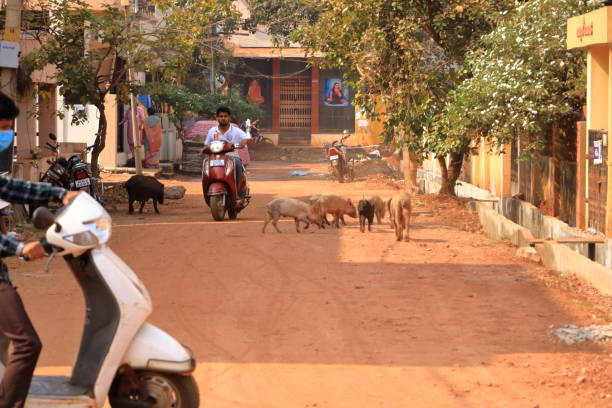 hustle and bustle in a central indian town December 17 2022 - Bidar, Karnataka in India: the residents go about their daily business on a dusty street tramp home stock pictures, royalty-free photos & images