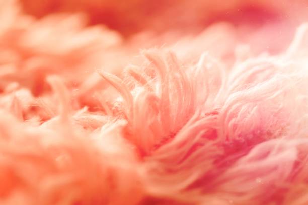 close up soft pink cotton carpet and abstract background stock photo