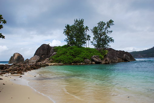 A closeup shot of a sandy beach with a small island and green trees on the background
