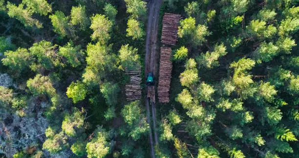 Aerial view above a forest Harvester, cutting trees, making logs, middle of finnish woods, sunny, summer evening, in Uusimaa, Finland