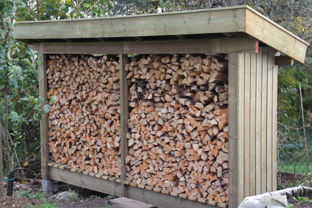 istock Log of wood 1465252336