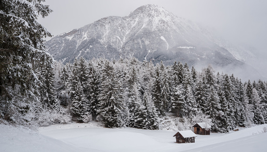 Beautiful Austrian foggy winter landscape with alot of snow, wooden cabins and pine trees and a majestic snowy mountain in the background