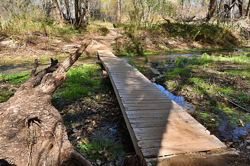 A wooden foot bridge spans over a small stream and marsh.