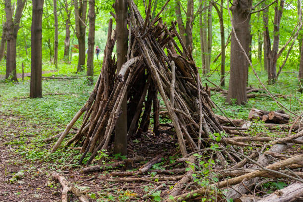 istock Pile of firewood in a forest 1465254305
