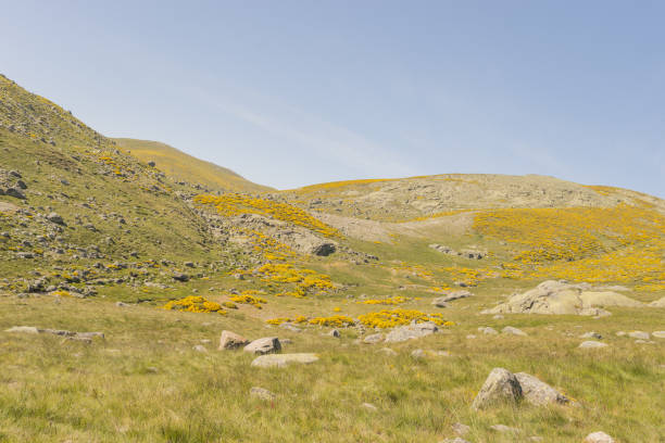 istock Beautiful rocky mountainous landscape in Spain 1465255138