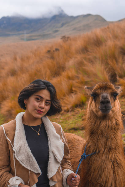 istock Young female with a cute lama in the mountains 1465255444