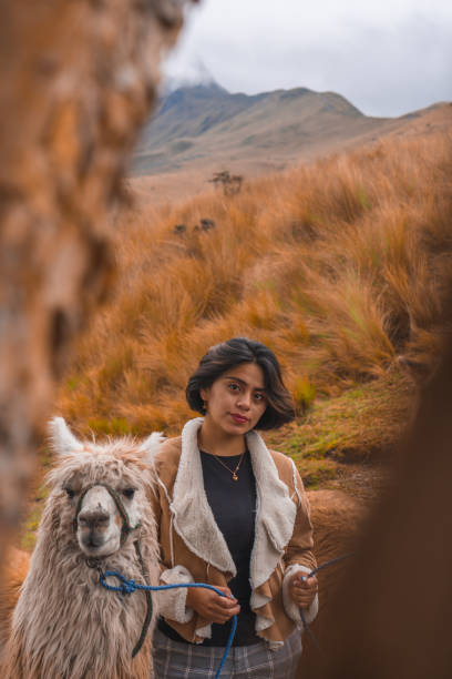 istock Young female with a cute lama in the mountains 1465255454