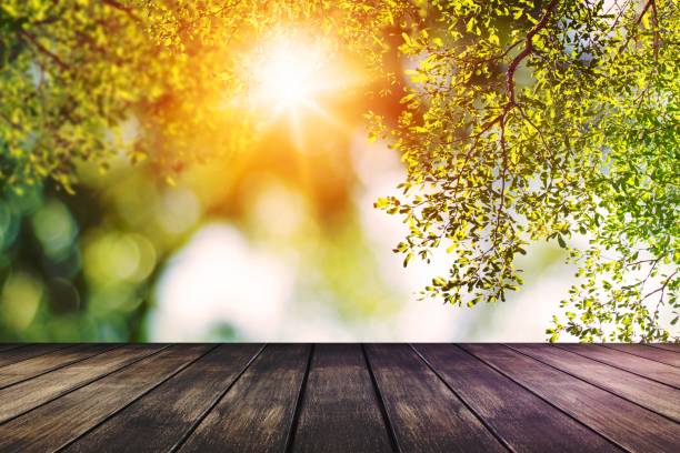 istock wood table on bokey green nature background 1465255951