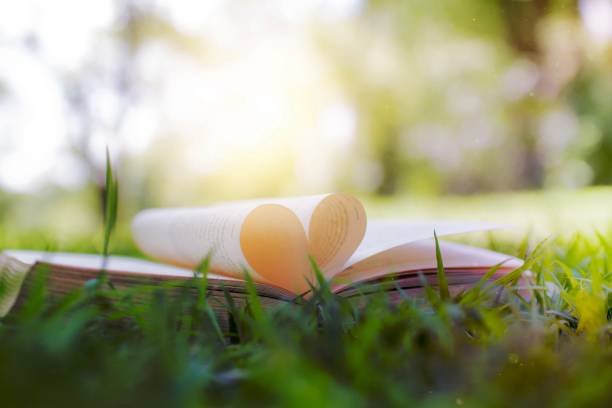 istock book opened as heart shape on grass in park, knowledge and education concept 1465257533