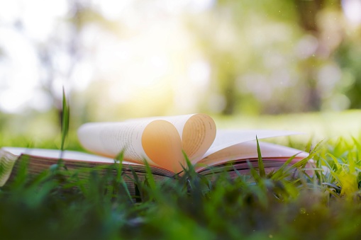 book opened as heart shape on grass in park, knowledge and education concept