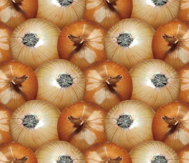 Seamless background with onion.