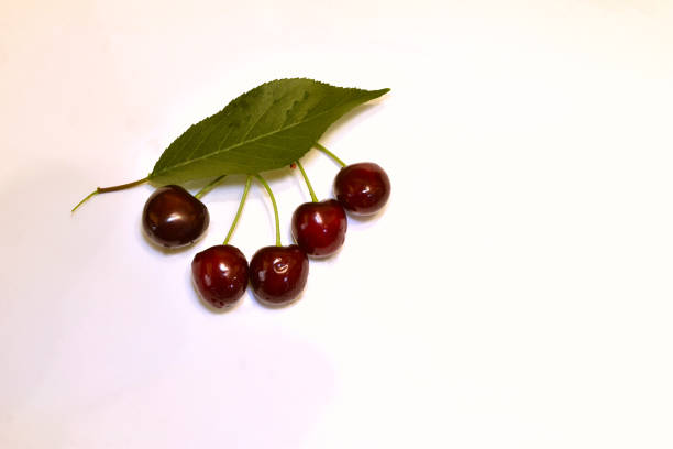 In the picture, on a white background, a twig with a green leaf on which ripe cherries are weighed.