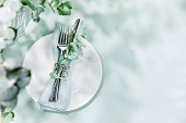 Table settings on blue background with eucalyptus leaves and copy space