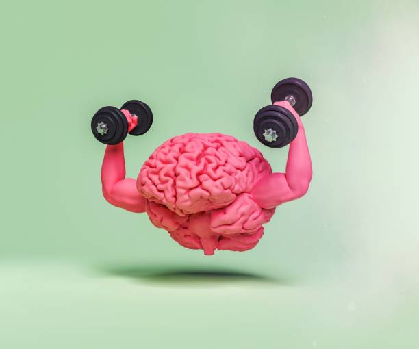 istock brain with muscular arms and dumbbells in hands 1465265058